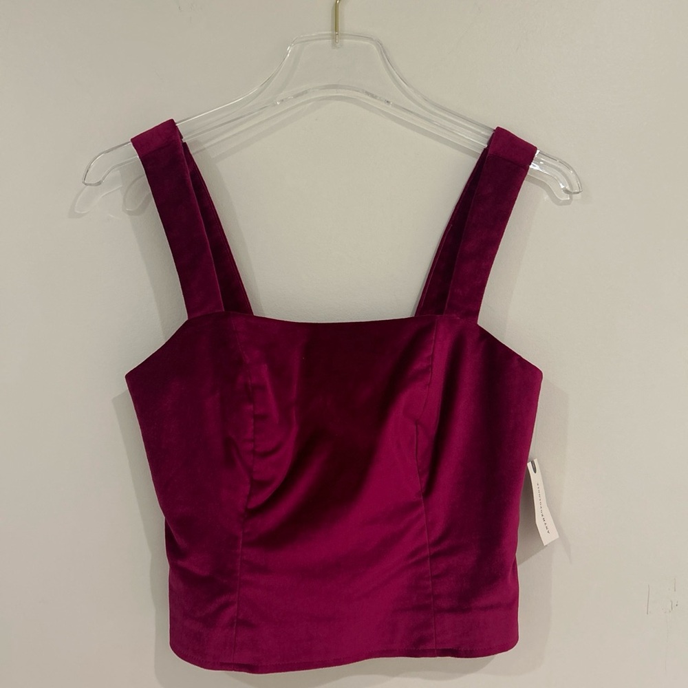Maeve Anthropologie pink magenta velvet crop
